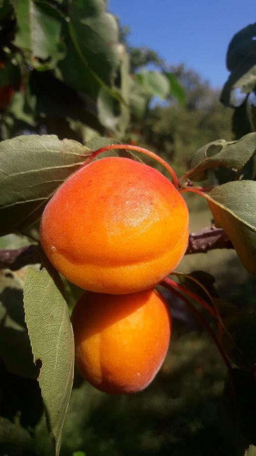 Stratzing Asbacher Klosterkeller מראה חיצוני תמונה