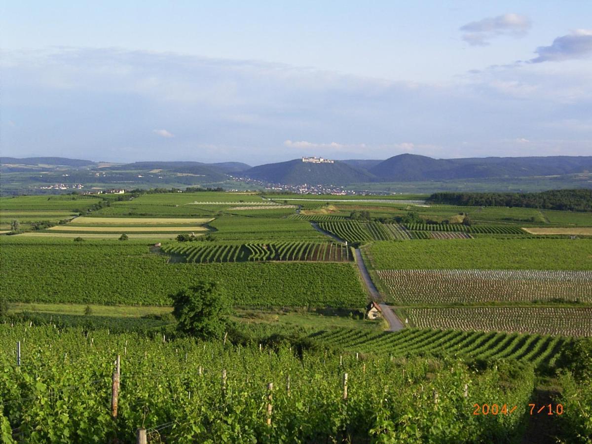 Stratzing Asbacher Klosterkeller מראה חיצוני תמונה